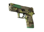 P250 | Boreal Forest image